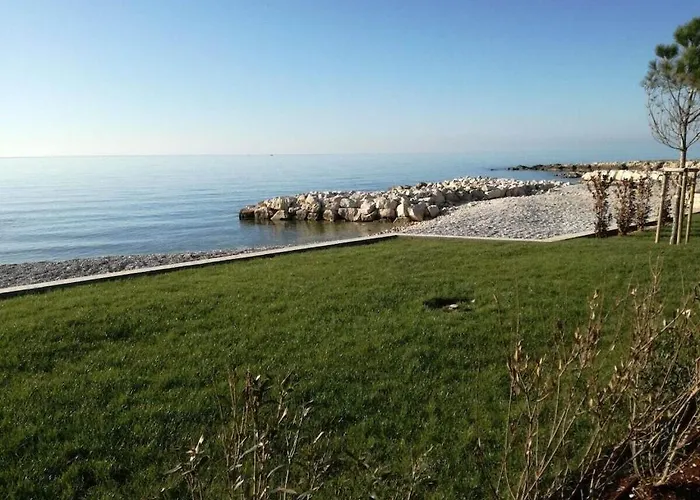 In Pore With Swimming Pool