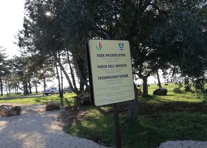 In Pore With Swimming Pool